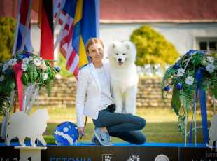 2019 Euroshow Bobpuppy